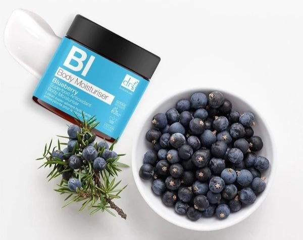 Blueberry - Dr Botanicals