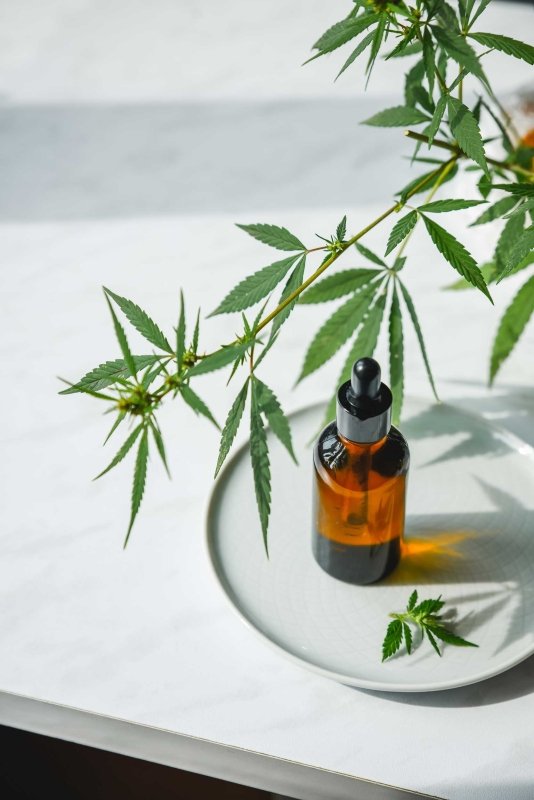 Your Hemp Questions Answered - Dr Botanicals