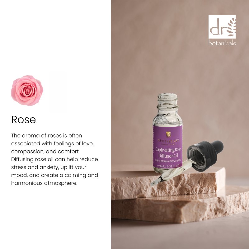 Captivating Rose Diffuser Oil 10ml - Dr Botanicals