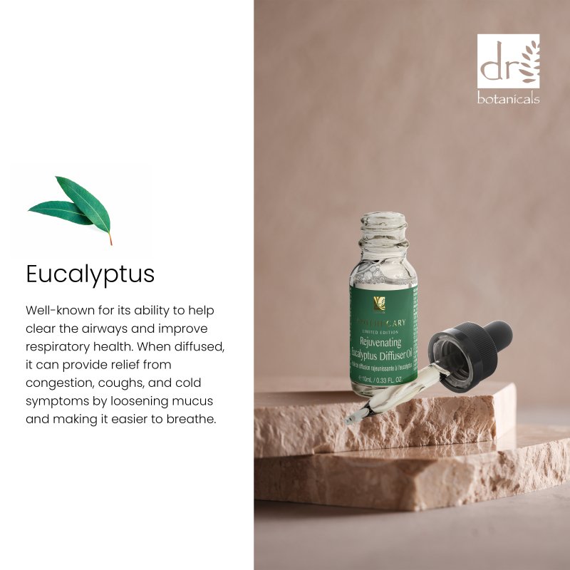 Rejuvenating Eucalyptus Diffuser Oil 10ml - Dr Botanicals